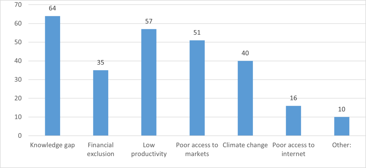 Bar chart illustrating the challenge area or pain point that innovations are attempting to address. The knowledge gap was the most common with 64 innovations addressing this challenge, Financial exclusion is being addressed by 35 innovations; Low productivity is being addressed by 57 innovations; Poor access to markets is being addressed by 51 innovations; Climate change is being addressed by 40 innovations; Poor access to internet is being addressed by 16 innovations; and 10 innovations are addressing additional pain points.