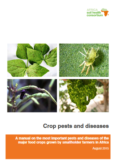 Crop Pests And Disease Management In Uganda: Status And – MVFG
